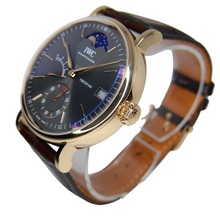 Load image into Gallery viewer, IWC model IW516403
